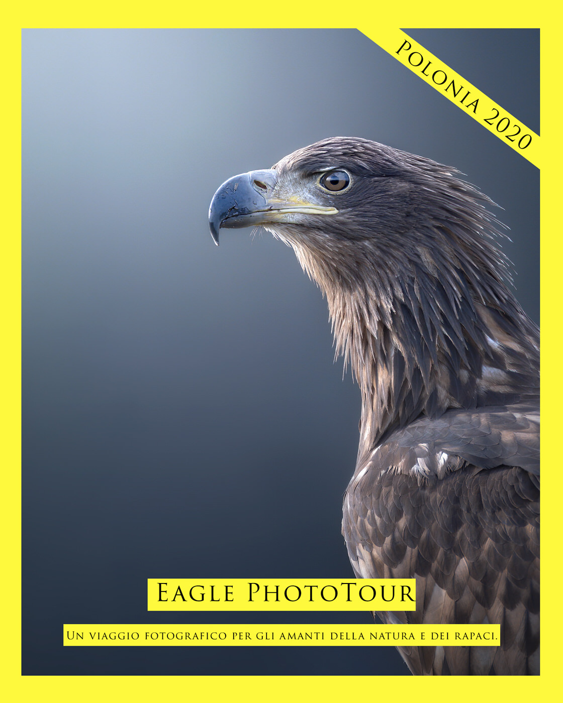 viaggio fotografico naturalistico polonia