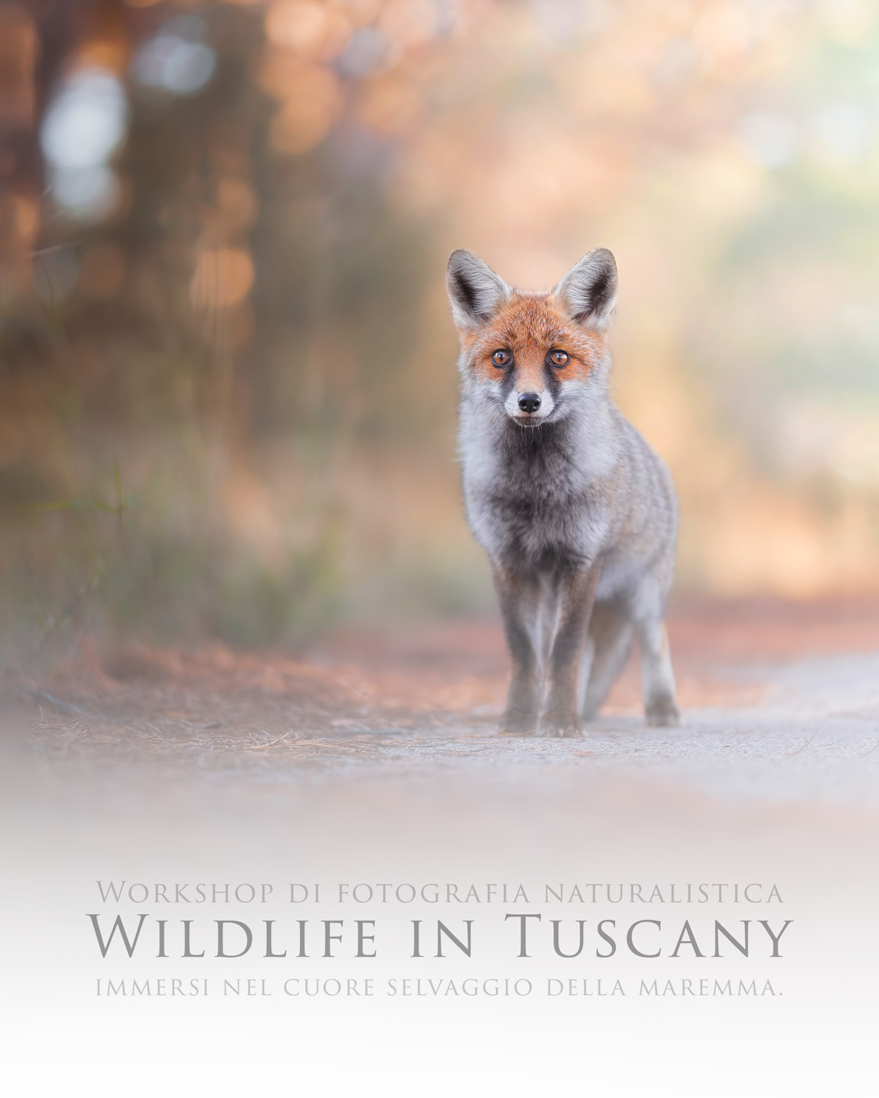 workshop di fotografia naturalistica toscana