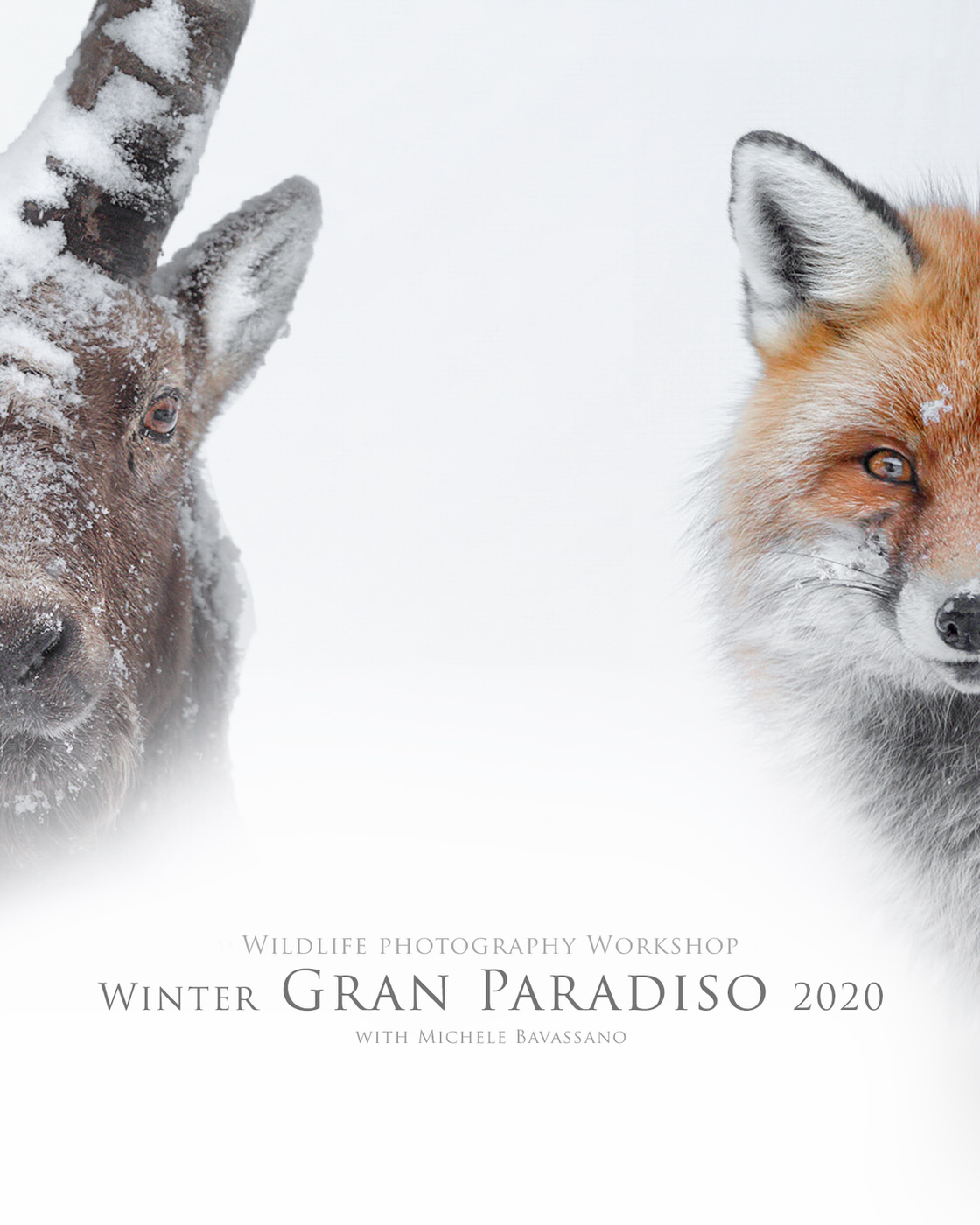 winter-gran-paradiso-workshop-english Michele Bavassano