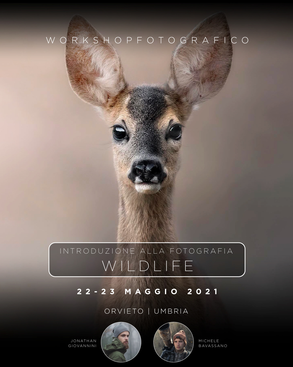 workshop di fotografia naturalistica - Michele Bavassano