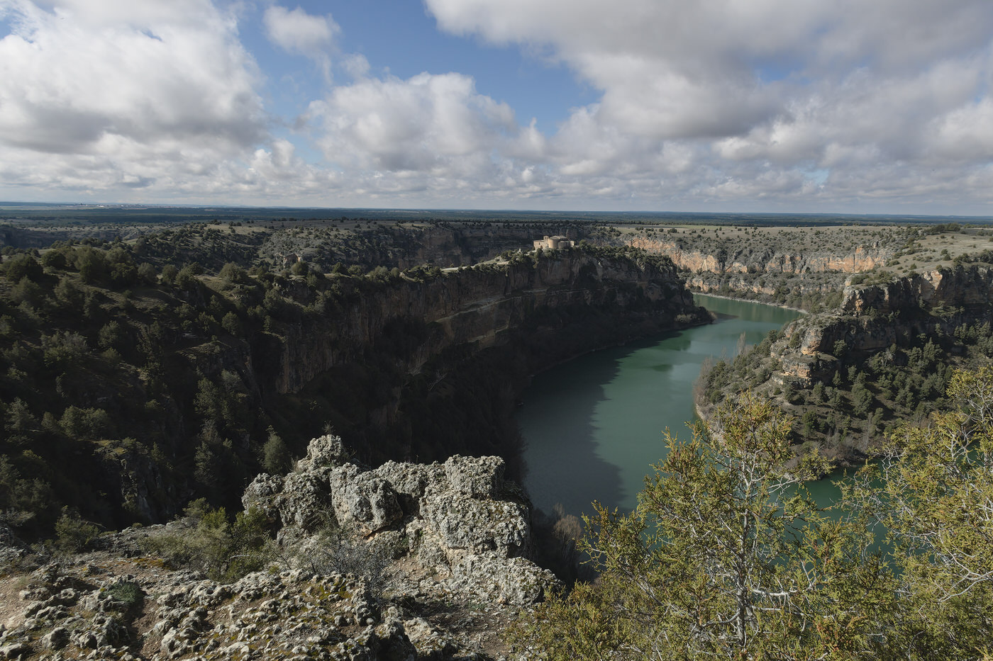 Birds Tour Spain - Viaggio fotografico in Spagna