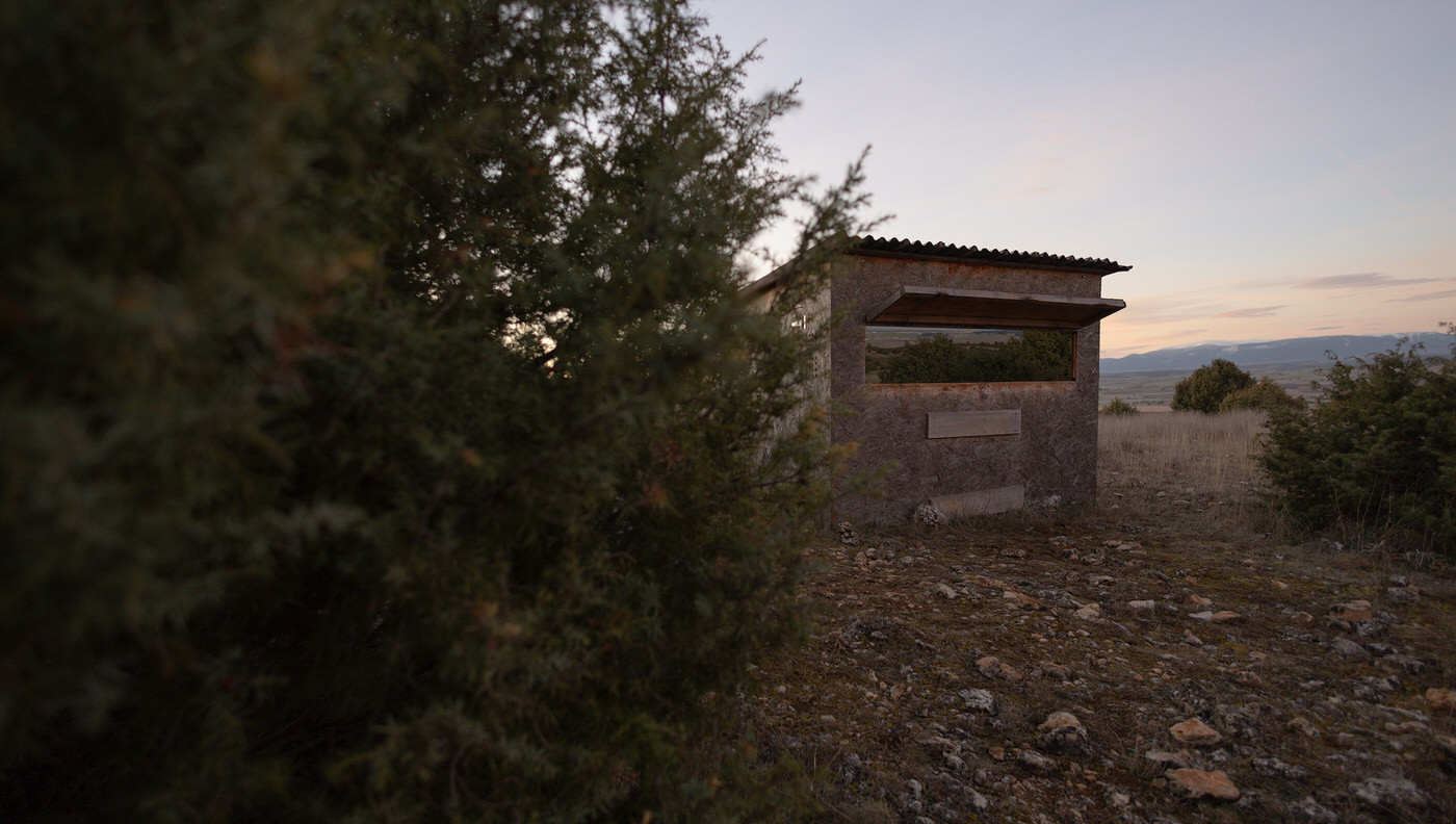 Birds Tour Spain - Viaggio fotografico in Spagna