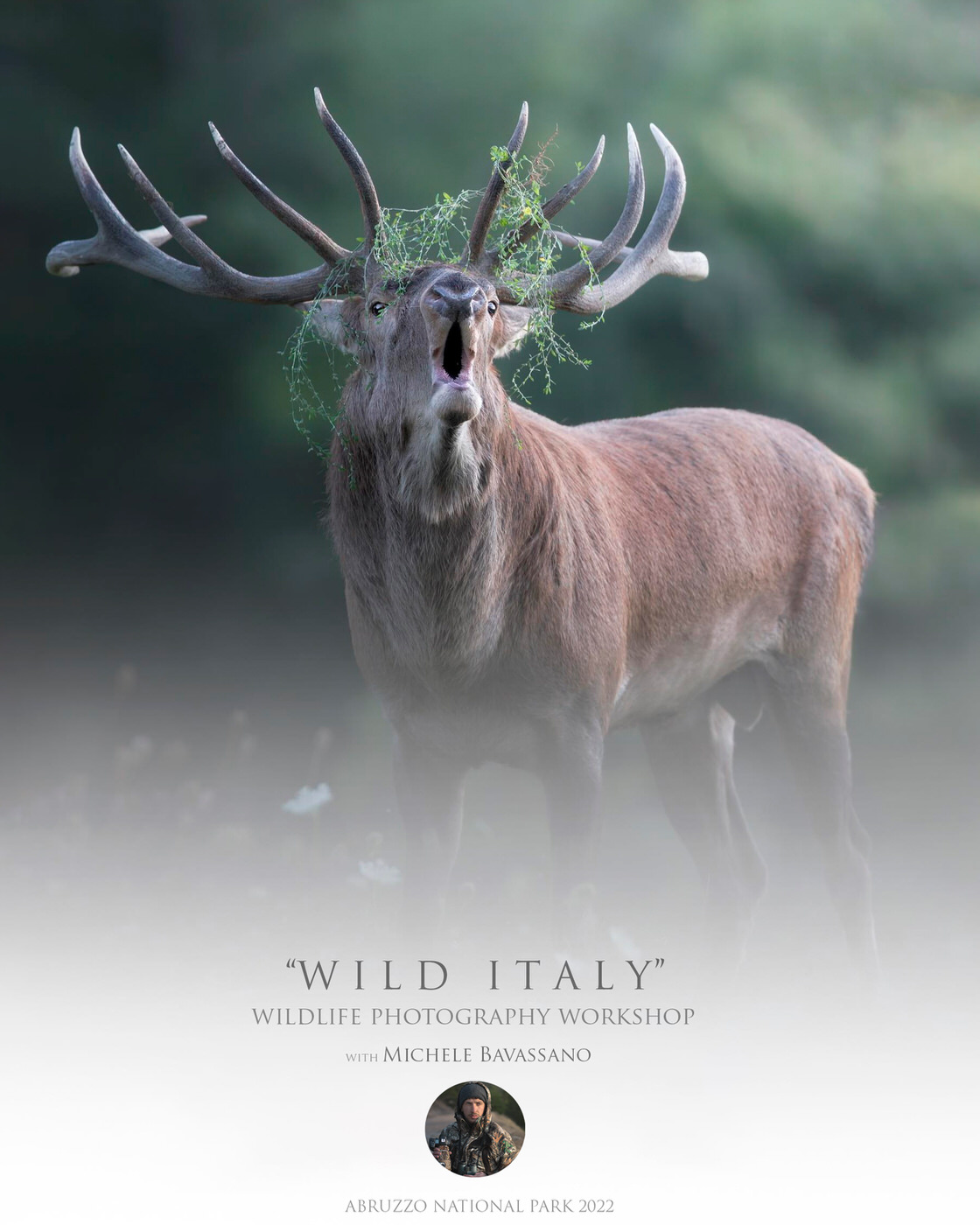 Wild Italy wildlife photography workshop in the abruzzo national park