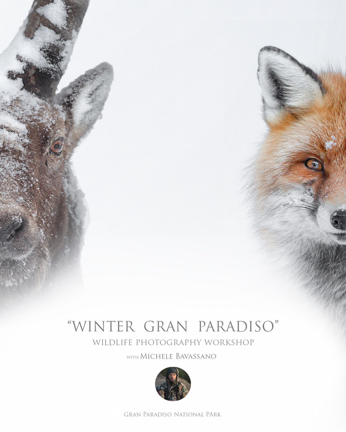 wildlife photography workshop in the Gran Paradiso National Park