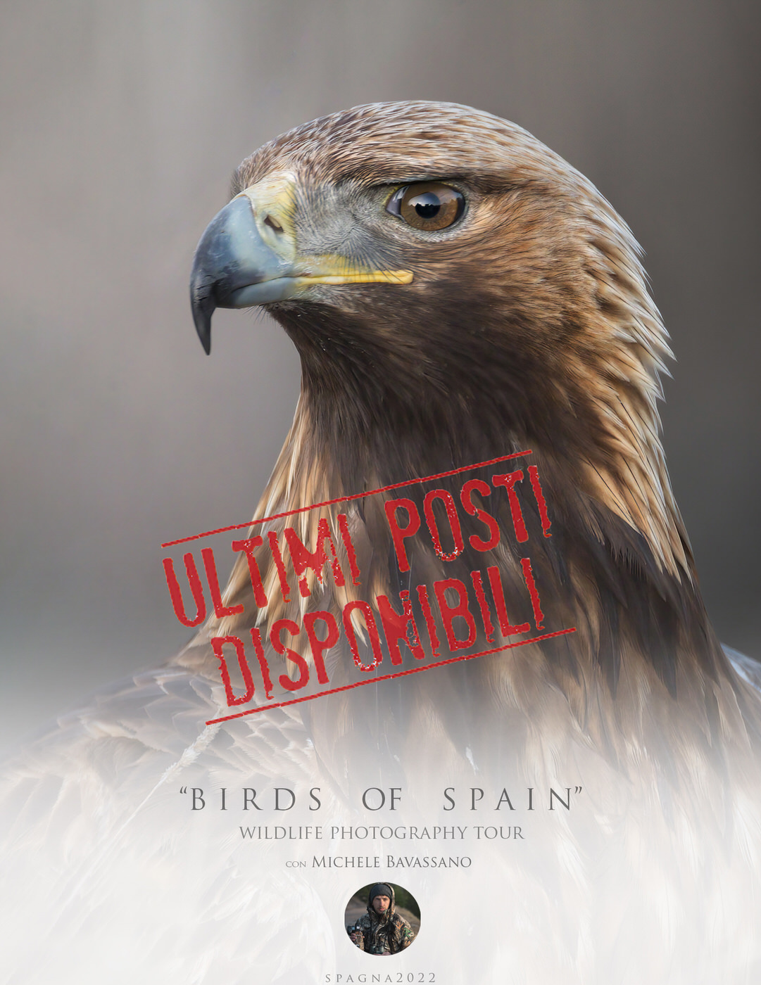 Birds Tour Spain - Viaggio fotografico in Spagna