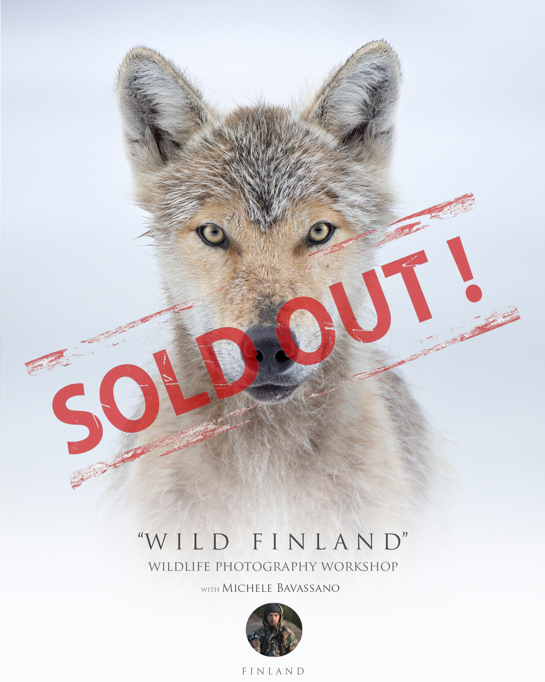 wild finland - workshop wildlife