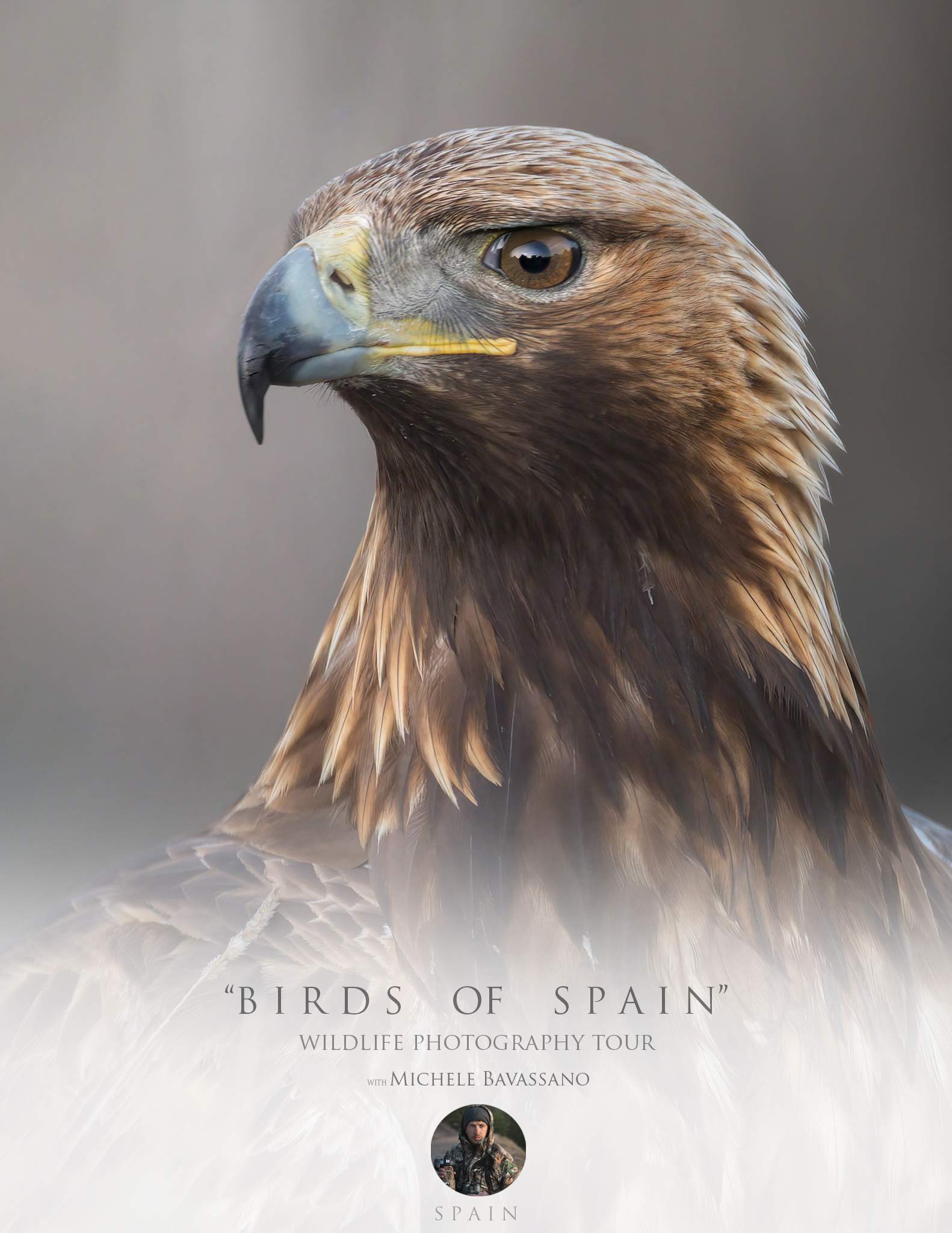 Birds Tour Spain - Photographic tour
