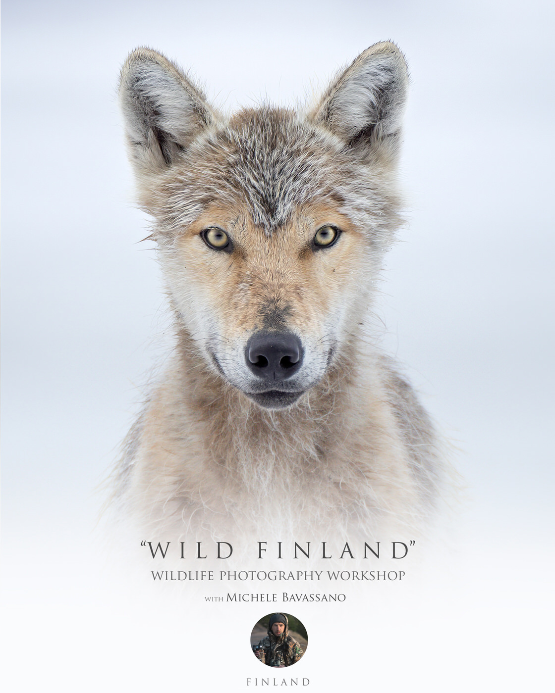 Wild Finland - wildlife photography workshop