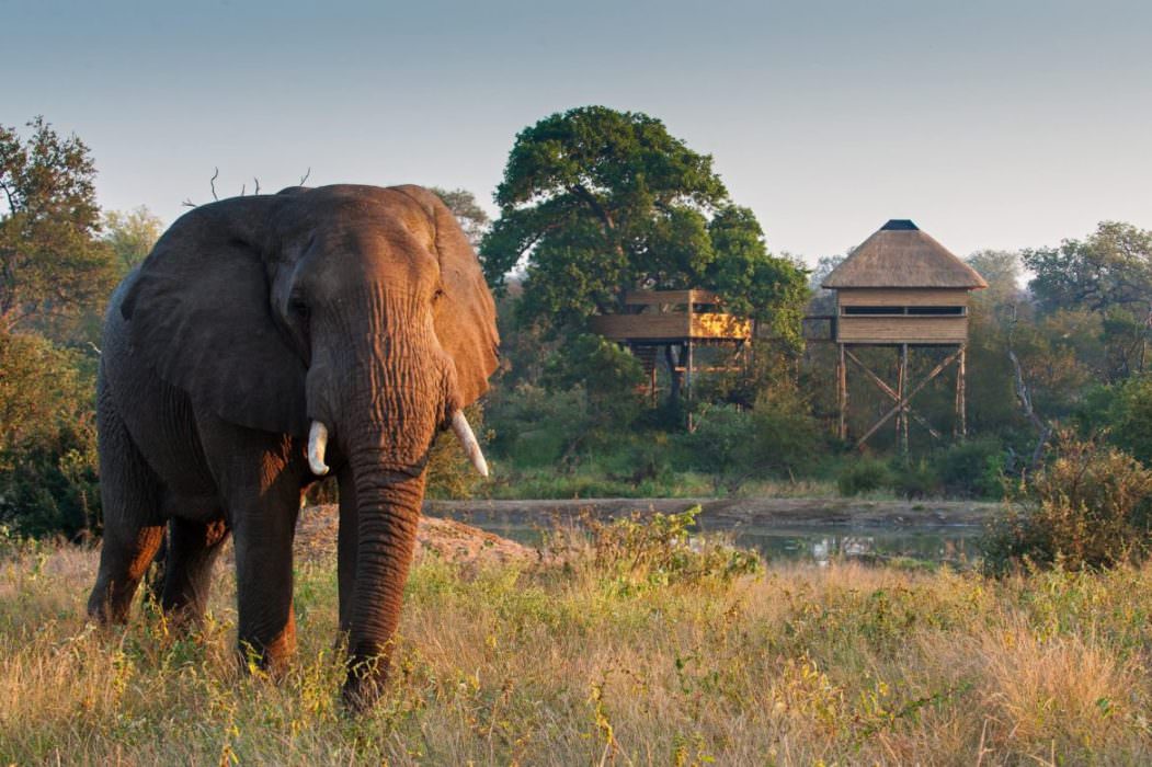 Pondoro game reserve luxury safari Michele Bavassano