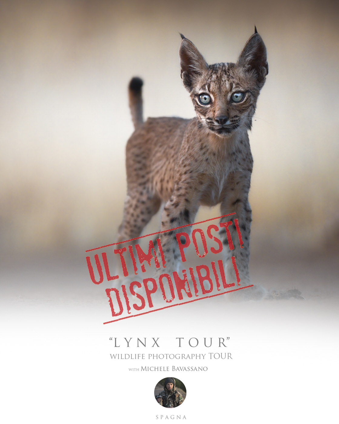 LYNX TOUR