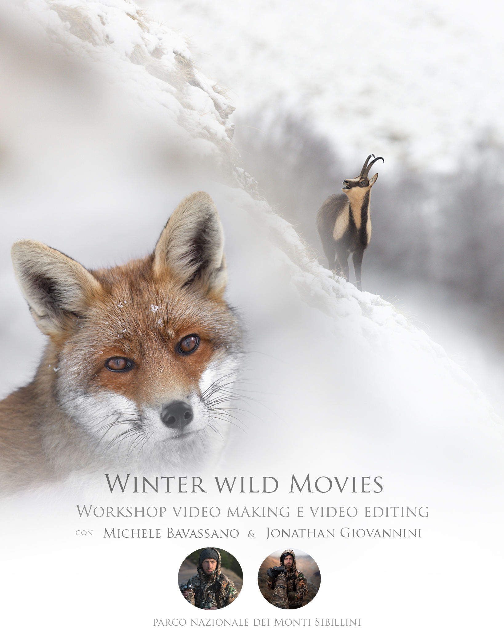 Winter wild Movies