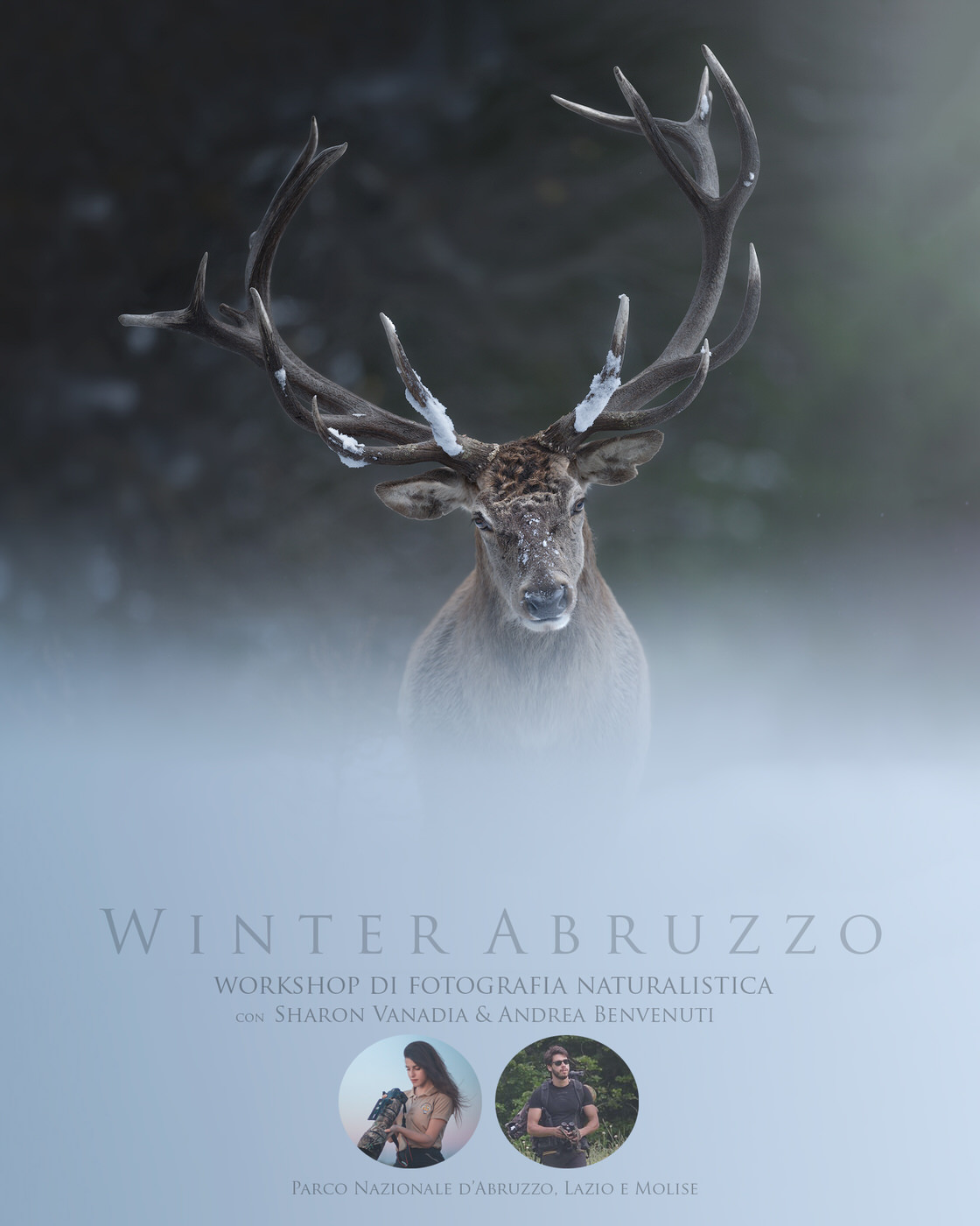 workshop-fotografia-naturalistica-parco-nazionale-abruzzo-inverno