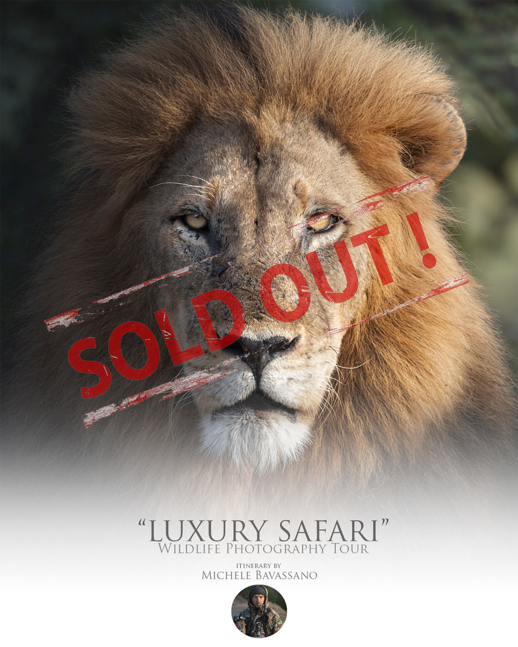 luxury-safari-sold-out-