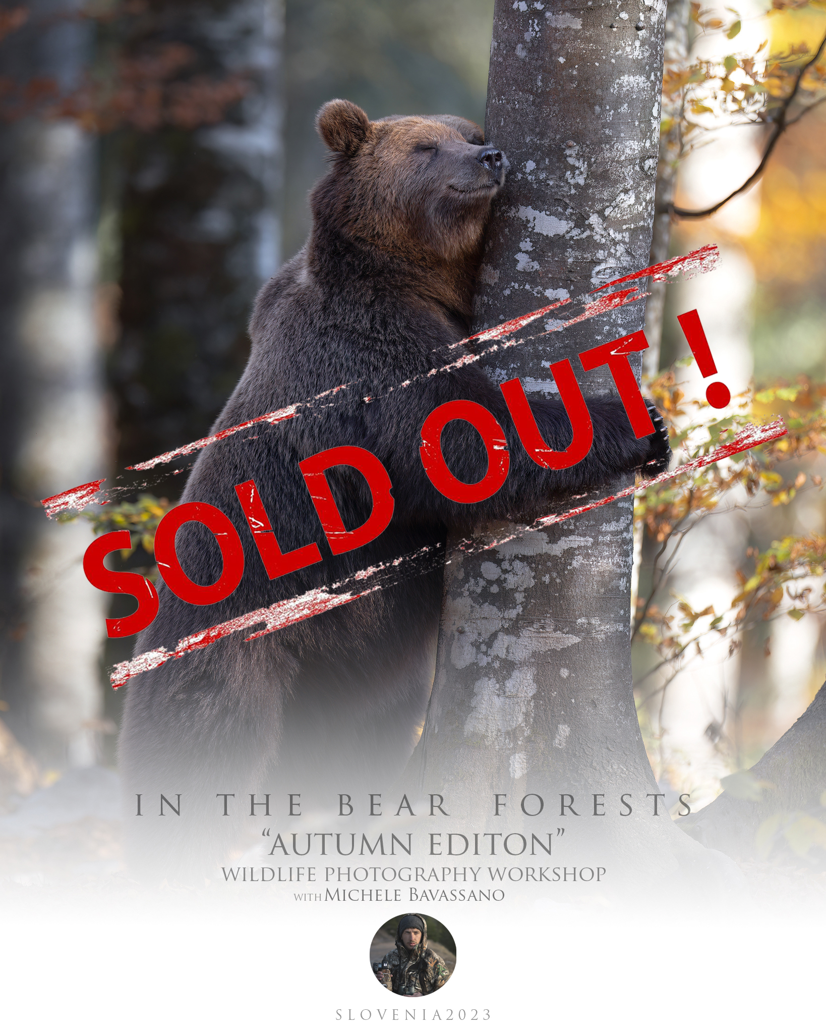 in the bear forests autumn edition sold out
