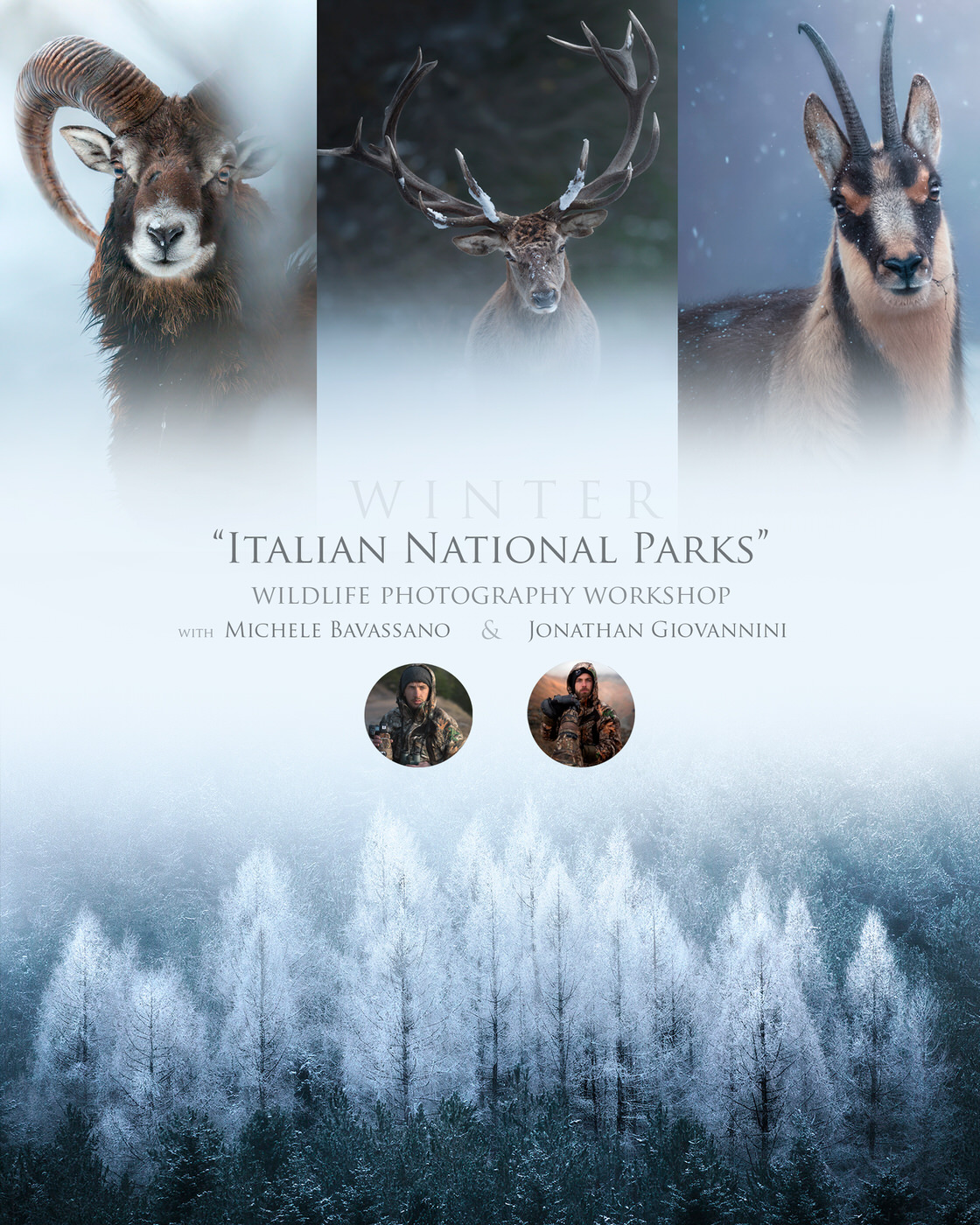 italian national parks - wildlife photo tour