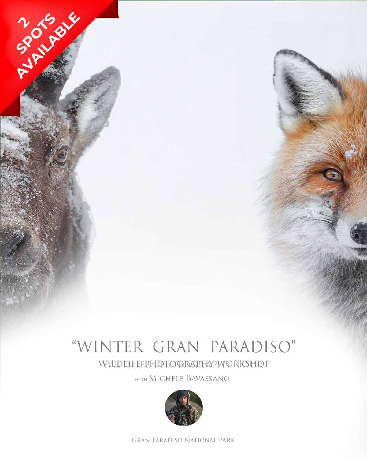 photographic workshop winter gran paradiso italy Michele Bavassano