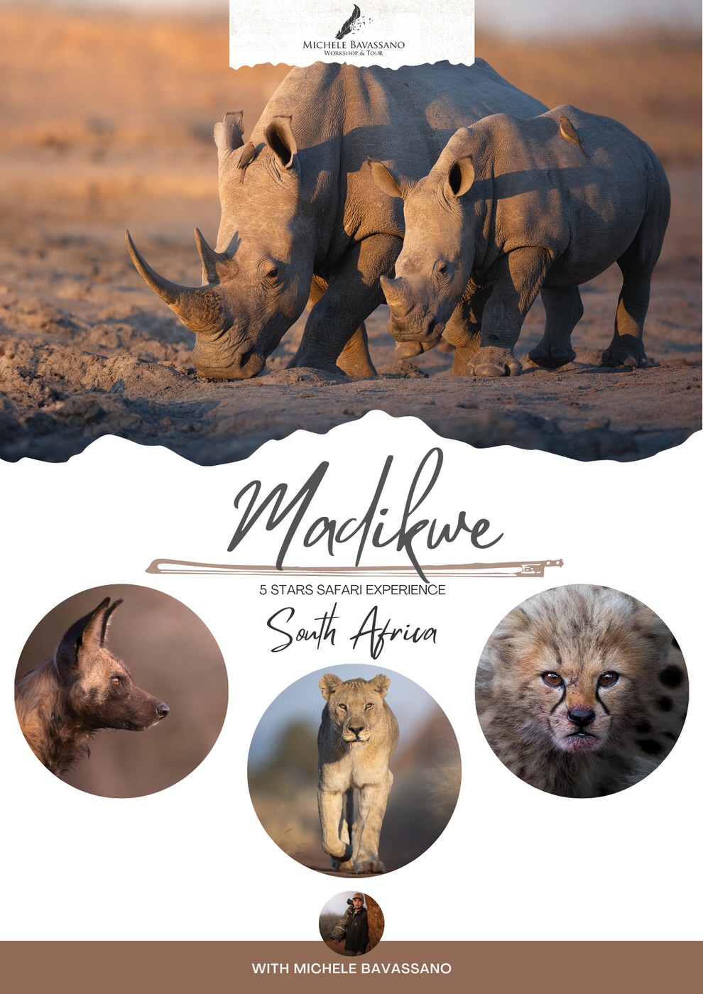 Madikwe hills game reserve safari tour