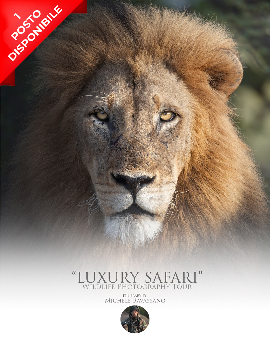 safari-fotografico-sudafrica-luxury