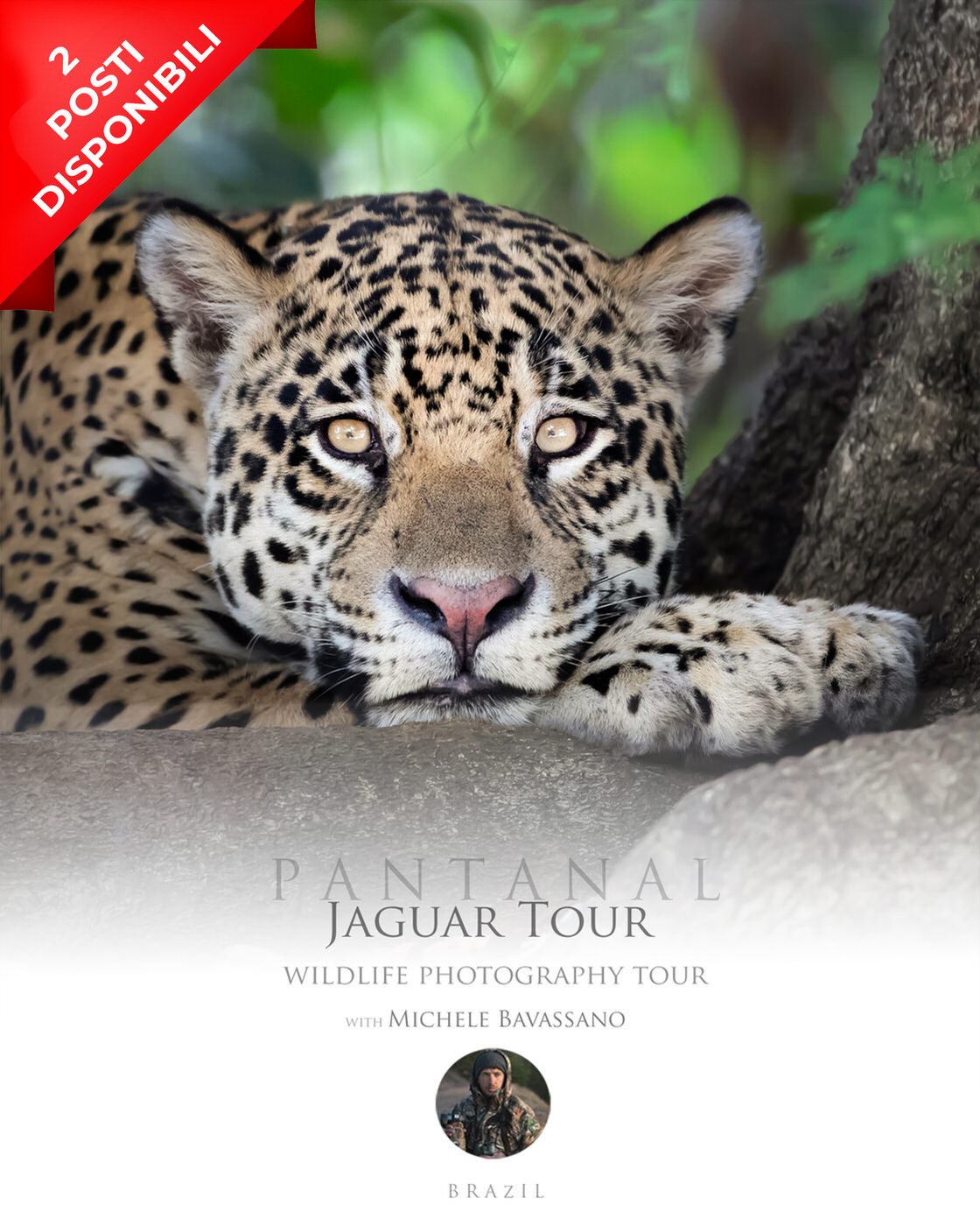tour-fotografico-giaguaro-pantanal-brasile
