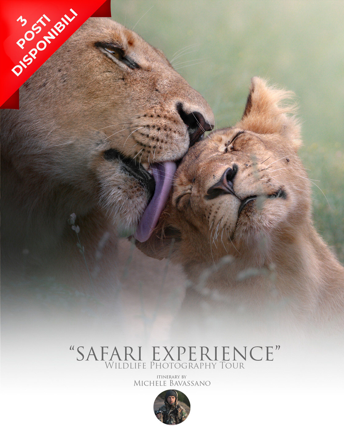 safari-fotografico-sudafrica