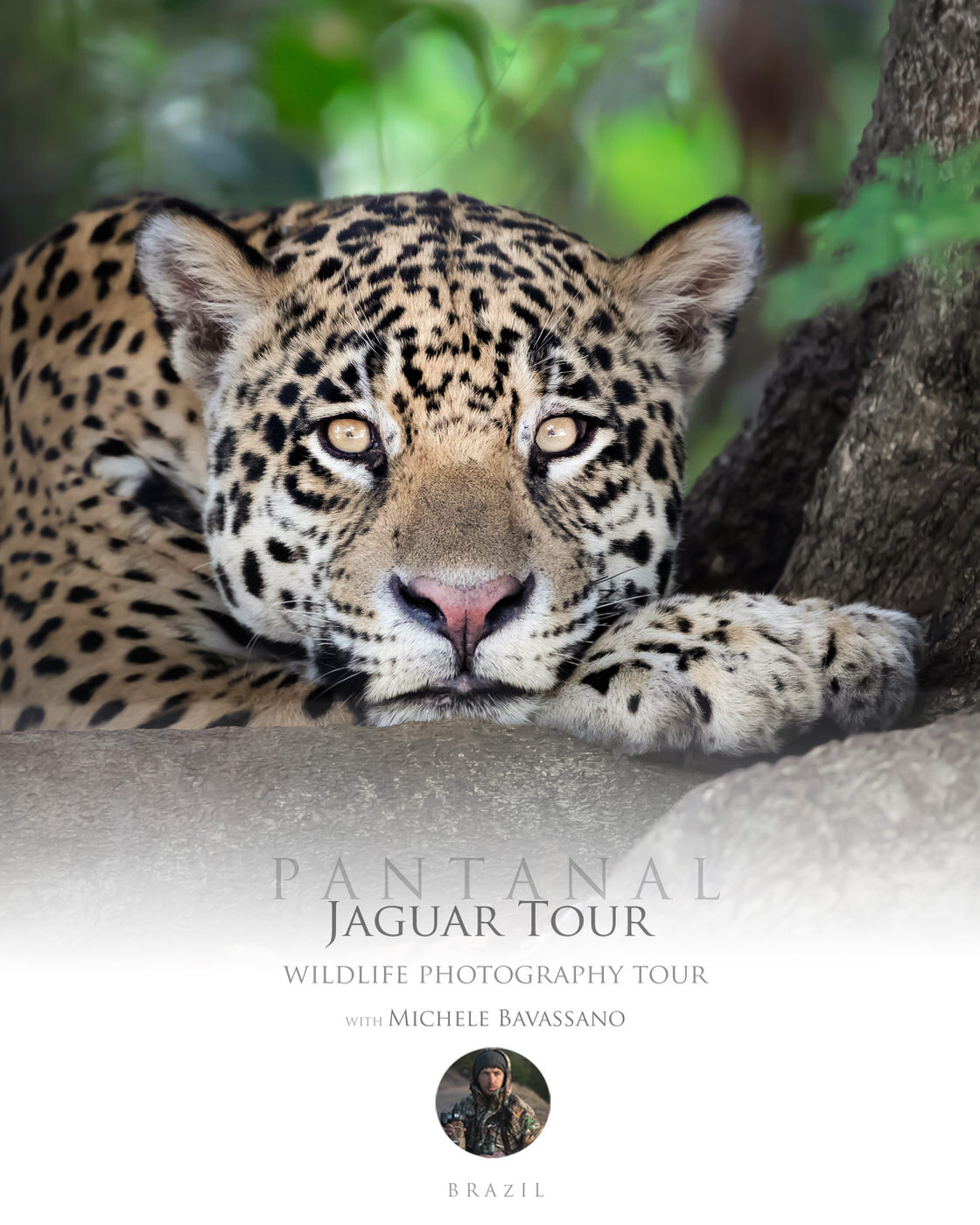 Jaguar Tour - Pantanal - Michele Bavassano