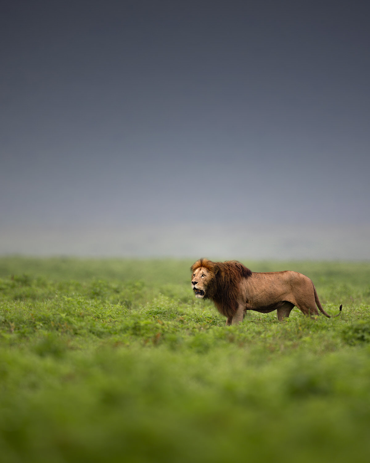 Photographic Safari Tanzania